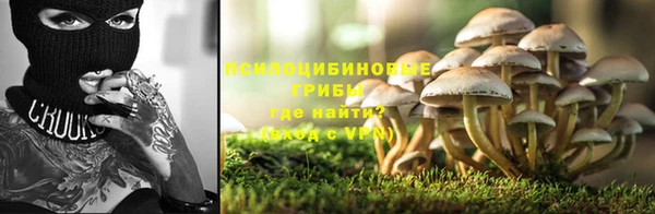 соль ск Аркадак