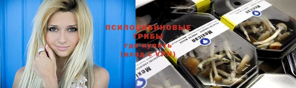 ГАЛЛЮЦИНОГЕННЫЕ ГРИБЫ Арсеньев