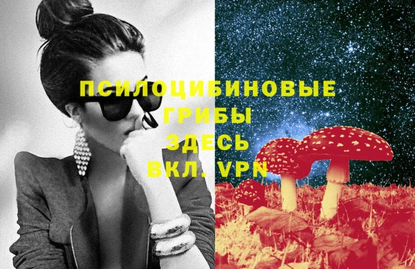 соль ск Аркадак