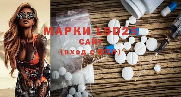 ГАЛЛЮЦИНОГЕННЫЕ ГРИБЫ Арсеньев